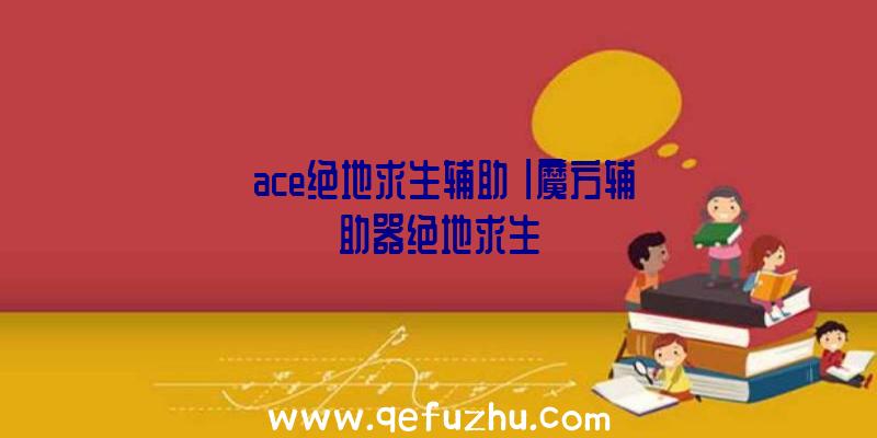 「ace绝地求生辅助」|魔方辅助器绝地求生